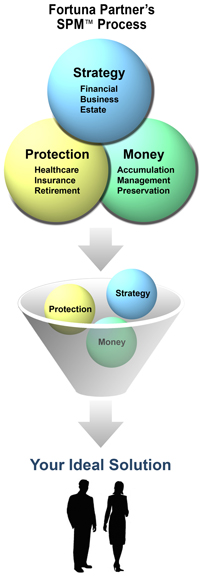 Fortuna Partner's SPM Process